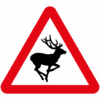 Wild Animals Likely In Road Ahead Sign - Ref: diag 551