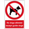 No dogs allowed except guide dogs sign - Ref: p149